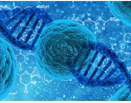 Elispot分析：先进的细胞免疫功能研究平台